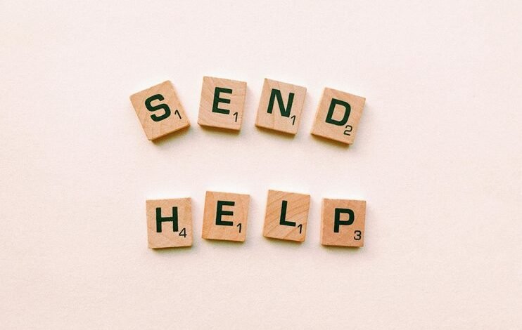 contact information for division