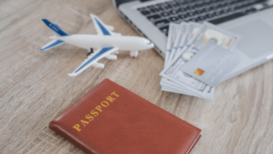 Flight Ticket To India From Usa: What Affects Airfare and How to Plan Ahead