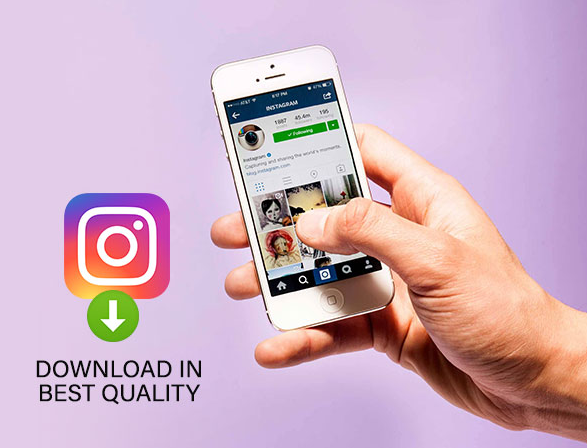 How to Download Instagram Profile Picture Online in Original Quality
